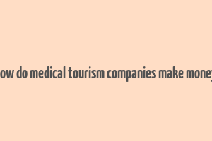 how do medical tourism companies make money