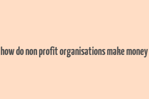 how do non profit organisations make money