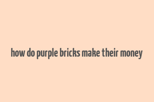 how do purple bricks make their money