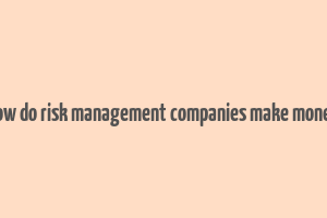 how do risk management companies make money