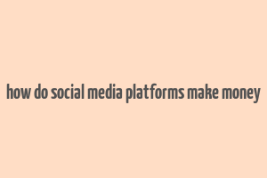 how do social media platforms make money