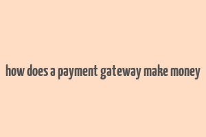 how does a payment gateway make money