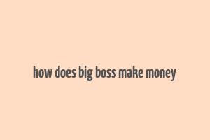 how does big boss make money