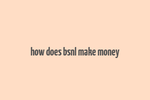 how does bsnl make money