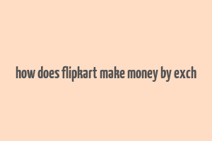 how does flipkart make money by exch