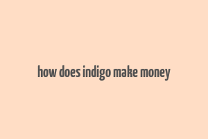 how does indigo make money