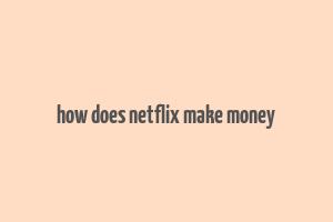 how does netflix make money