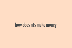 how does nts make money