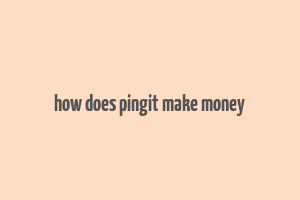 how does pingit make money