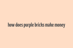 how does purple bricks make money