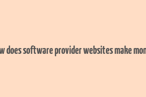 how does software provider websites make money