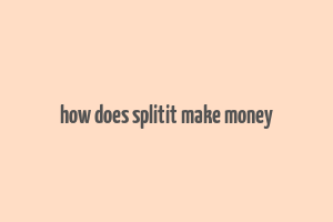 how does splitit make money