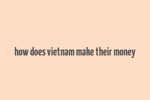 how does vietnam make their money