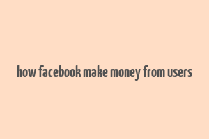 how facebook make money from users