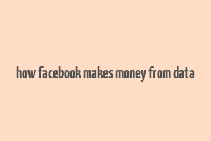 how facebook makes money from data