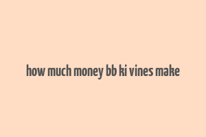 how much money bb ki vines make