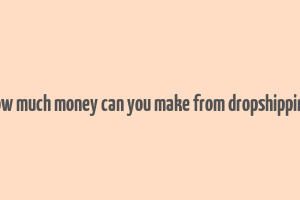 how much money can you make from dropshipping