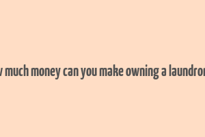 how much money can you make owning a laundromat