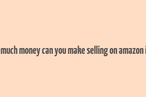 how much money can you make selling on amazon india