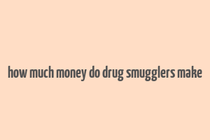 how much money do drug smugglers make