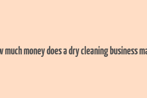 how much money does a dry cleaning business make