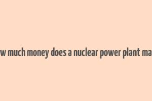 how much money does a nuclear power plant make