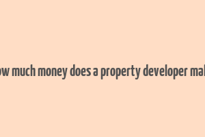 how much money does a property developer make