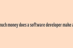 how much money does a software developer make a year