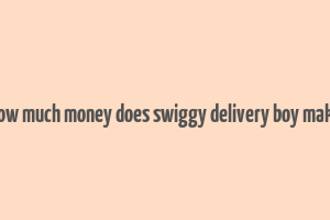 how much money does swiggy delivery boy make