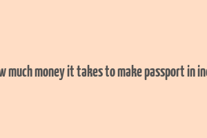 how much money it takes to make passport in india