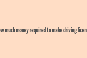 how much money required to make driving licence