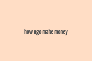 how ngo make money