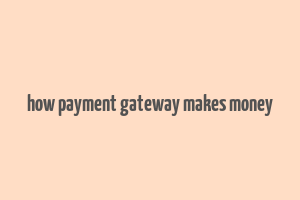 how payment gateway makes money