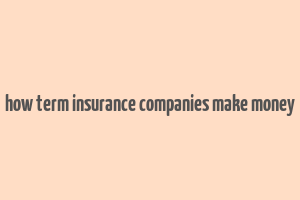 how term insurance companies make money