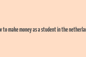 how to make money as a student in the netherlands