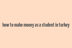 how to make money as a student in turkey