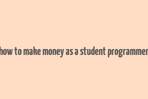 how to make money as a student programmer