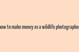 how to make money as a wildlife photographer