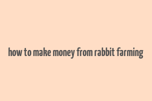 how to make money from rabbit farming