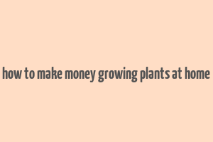 how to make money growing plants at home