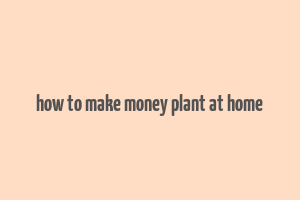 how to make money plant at home