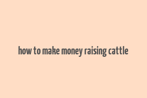 how to make money raising cattle