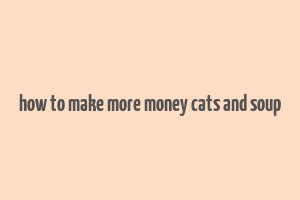 how to make more money cats and soup