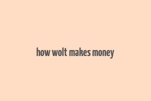 how wolt makes money