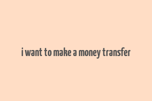 i want to make a money transfer