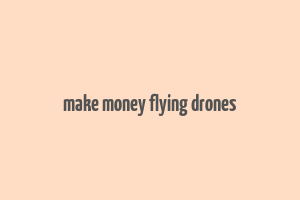 make money flying drones