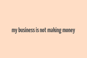 my business is not making money