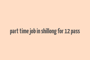 part time job in shillong for 12 pass