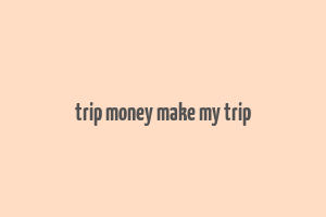 trip money make my trip