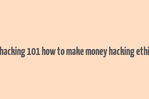 web hacking 101 how to make money hacking ethically